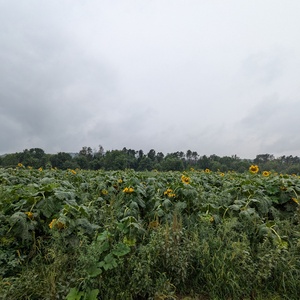 PXL_20240818_183748048.jpg